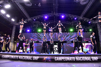 19 HEROES GREEN ARMY MIXTO 7 NON TUMBLING