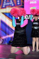 30 DRGONFLY POM ELEM BASIC ACADEMIA