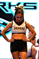 32 BLUE SHARKS MIX NIV 7 NON TUMBLING