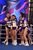 92 SEA HORSES