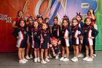 16 BABY LION