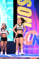 05 SHARKS ANGELS MIX INF NIV 2