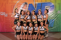 21 SHARK CRYSTAL FEM 2