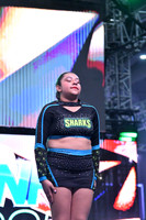 E4_09 SHARKS SEASHELLS MIX C BASICO