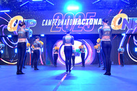E6_31 DDC POMPON 2