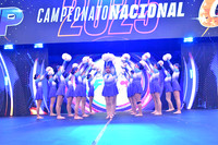 E6_33 POWER FORCE CENTER POMPON 2