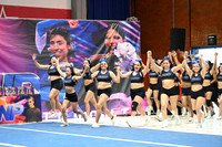 11 ENERGY ALL STARS MIX NIV 4.2