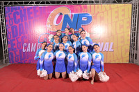 12 POWER POMS CAT N2