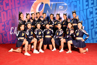 13 BENGALIES CAT FEM N3