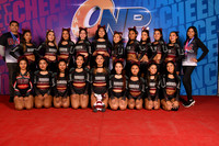26 BURROS POLI CAT PREP UNI BASICO
