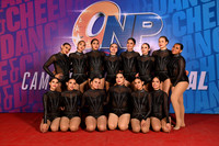 42 POWER FORCE CAT JAZZ A