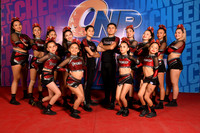 71 PREMIER ELITE CAT SEL MIX N2