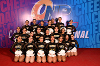 87 DANCE FACTORY CAT POMPS B