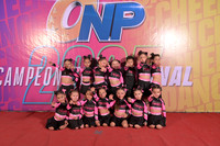 11 PINK PHANTERS CAT TINY N1