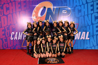 12 ROCK WARRIORS CAT INF N3