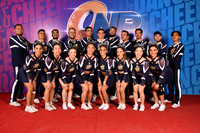 14 BENGALIES CAT MIXTO N7