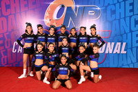 19 PURE VOLTCAT FEM N2 GRUPO CHICO