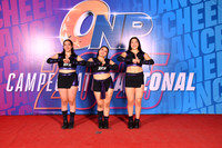 20 BLACK ROCK CAT N4 MIXTO