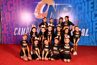 28 PHOENIX RISING CAT INF N2