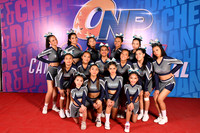 37 KOALAS ALL STAR DYNAMITE INFANTIL NIV 2