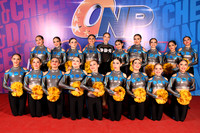 43 DDC CAT POMPON 2