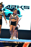 08 DEVIL SHARKS