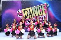 17 DMS POM MINI