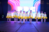 14. DDC MINI POMPON