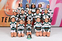 10 Cheer Diamond Elite