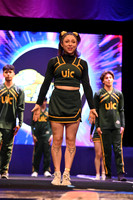 15 GANSOS SALVAJES UIC X