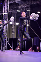 33 TDS POMPON A