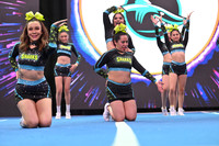 16 BLUSH SHARKS - NIVEL 2 NON TUMBLING