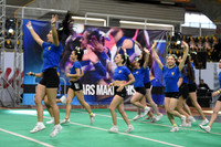 06 BENGALIES  FEMENIL