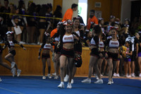 10 COUGARS