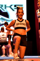 21 GLAM SHARKS FEM NIV 4.2