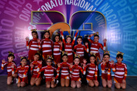 DRAGONS - PRIMARIA GENERAL NIVEL 1