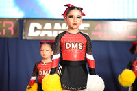 15 DOMMERS MINI