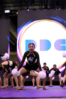 33 DDC - POM PON B