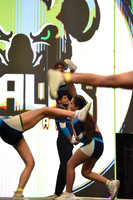 06  KOALAS  - MIXTO NL 1
