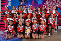 CARDENALES INFANTIL NIVEL 1