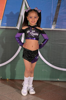 STARS ROYALTY MINI INDIVIDUAL
