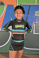 BLACK SHARKS - SELECCION LVL 1