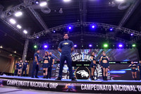 36 PANTERAS XTREME KINGS MIXTO C INTERMEDIO