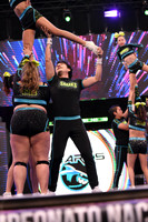 09 CRYSTAL SHARKS MIXTO 2 NON TUMBLING