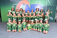 SPRING MINI N1