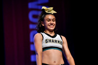 12 REEF SHARKS MIX C INTERMEDIO