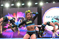 20 PINK SHARKS - FEMENIL A BASICO