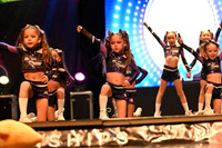 13  MINI NIV 1