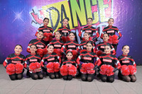 19 COPAN
