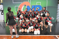 ESTUDIO 74 POMS INF ELITE